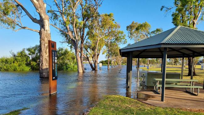 The flooded River Murray at Murray Bridge's Sturt Reserve on December 15. Picture: Facebook / Carolyn Nottle