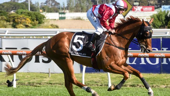 Superstorm will have his first run for trainer Danny O’Brien in the PB Lawrence Stakes. Picture: Racing Photos via Getty Images