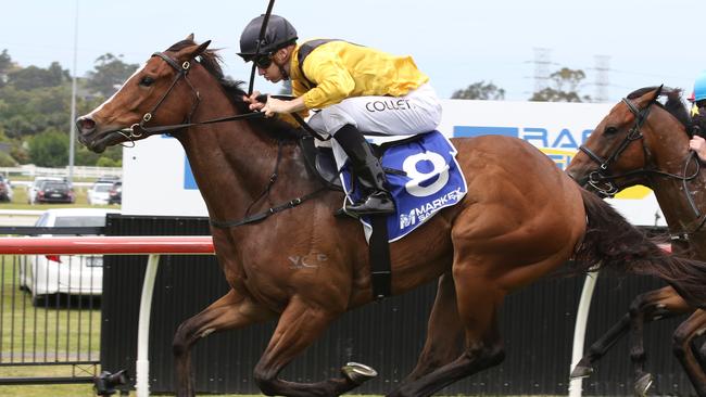 Quick Tempo has also come on for good support to win at Randwick. Picture: Grant Guy