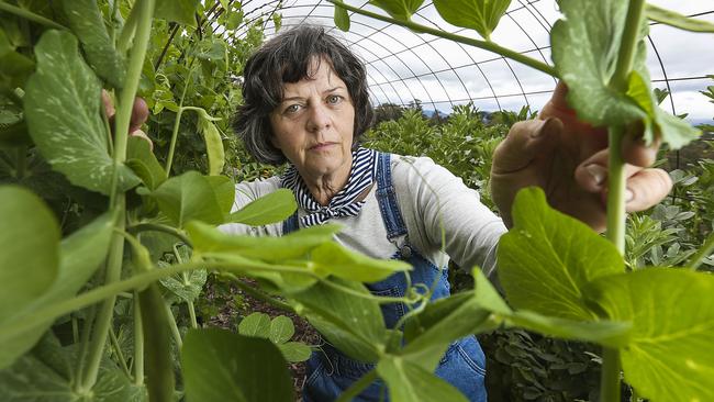 Hurstbridge Farmgate owner Paula McLeod. Picture: Ian Currie