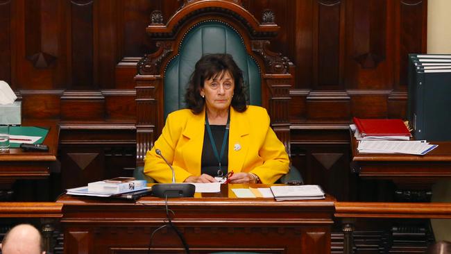 Deputy Speaker Frances Bedford in Parliament on Tuesday. Picture: Emma Brasier