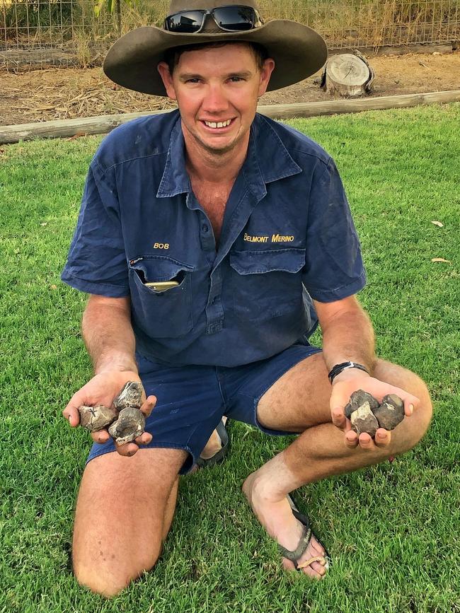 Australian scientists have found new dinosaur remains of a Australovenator wintonensis, was discovered on a private cattle property just outside of central Queensland. Grazier, Bob Elliot