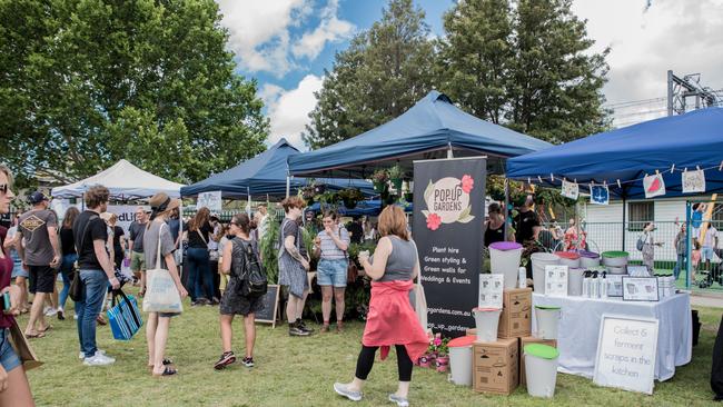 Sydney Vegan Market's event in November, back when the market was held at Fraser Park. Picture: Milo Jones King