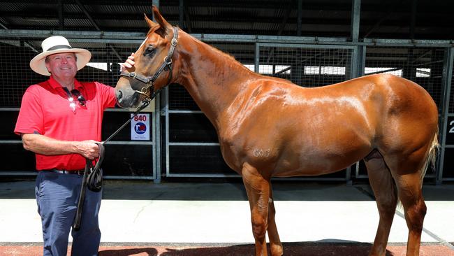 Scott McAlpine owner of Eureka Stud with his $500k horse. Picture: Mike Batterham