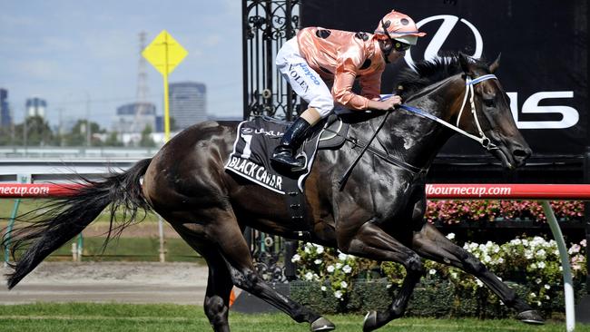 That's one of 25: Black Caviar strolling to victory in the 2011 Newmarket Handicap. Picture: News Corp