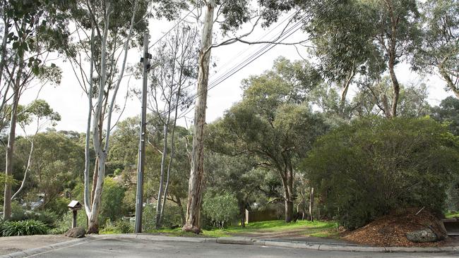 VCAT and Nillumbik Council ruled trees surrounding 91 John St in Eltham were not to be removed.