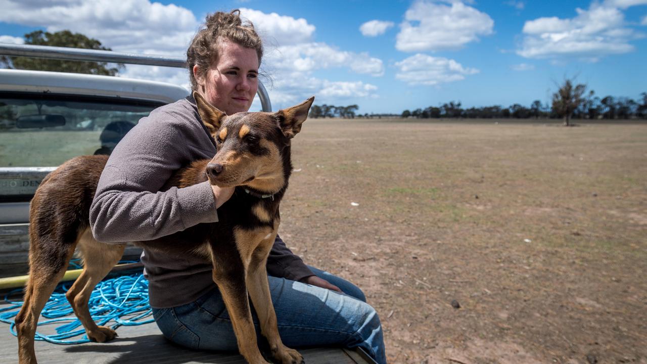 Megan Harrison and her dog Dougie ride on the back of a ute after inspecting paddocks in the Giffard West region of Gippsland in Victoria. February, 2019. Picture: Jake Nowakowski