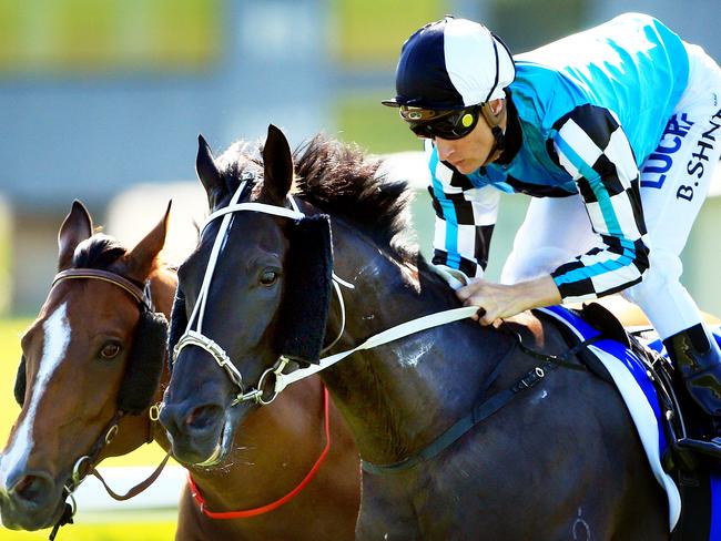 Blake Shinn wins race 7 on Black Jag during Canterbury races. pic mark evans