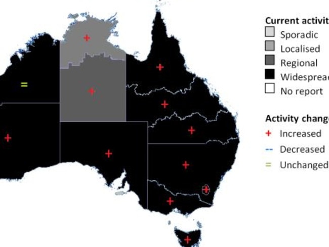 Map of influenza activity by state and territory, Australia, 22 July — 18 August 2017. Picture: Department of Health