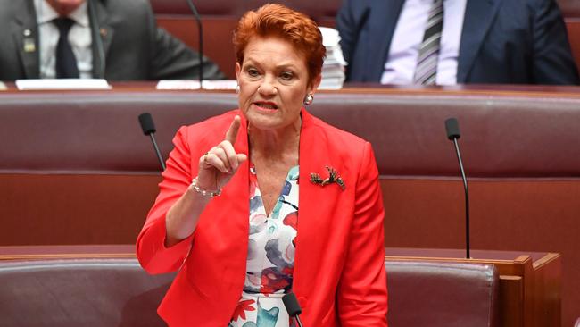 Senator Pauline Hanson has blasted the AAT. Picture: Sam Mooy/Getty