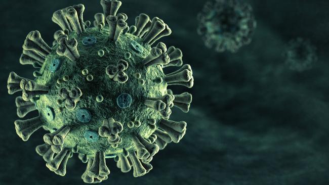 The Northern Territory is now effectively coronavirus-free after the last case — an Australian Defence Force member who tested positive while serving overseas — was cleared of the virus today.