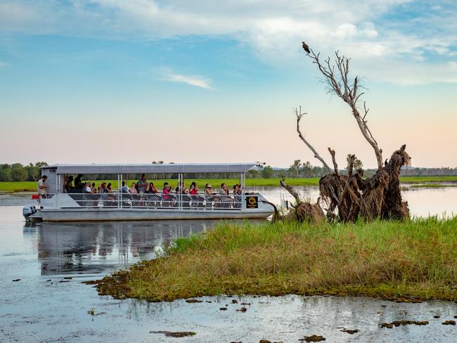 Tourists view bird life on the Yellow Water billabong cruise in Kakadu.