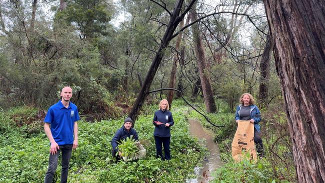 Friends of Koolunga Native Reserve worked to rename the Forrest Rd Drain to Wayut Creek, Picture: Melbourne Water