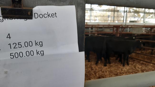 Lightweight calves made what some were calling ‘amazing’ money at Euroa's store sale. These 125kg steers made $1090.