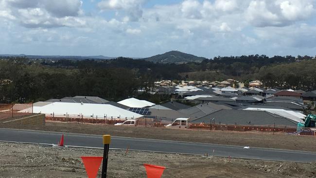 Bahrs Scrub in Logan City, which has experienced unprecedented growth. PHOTO: JUDITH KERR