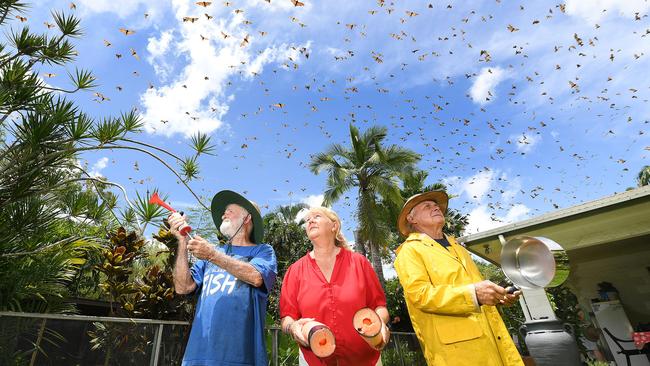 Alice River residents Barry Turville, Helen Townsend and Tony Townsend pictured in one of the back yards which has been infested by flying foxes. Picture: Shae Beplate.