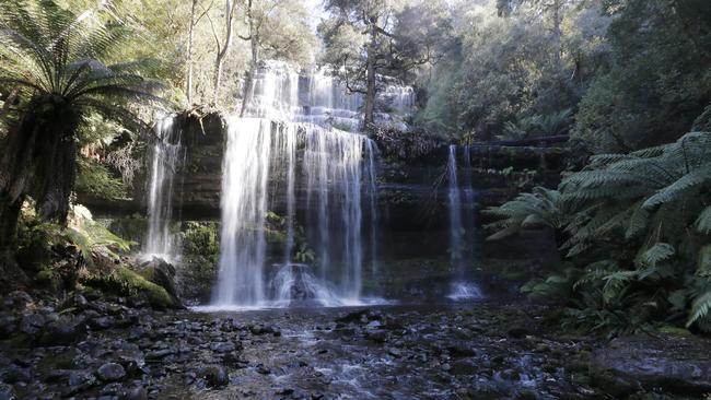 Mount Field National Park. PIC: MATT THOMPSON