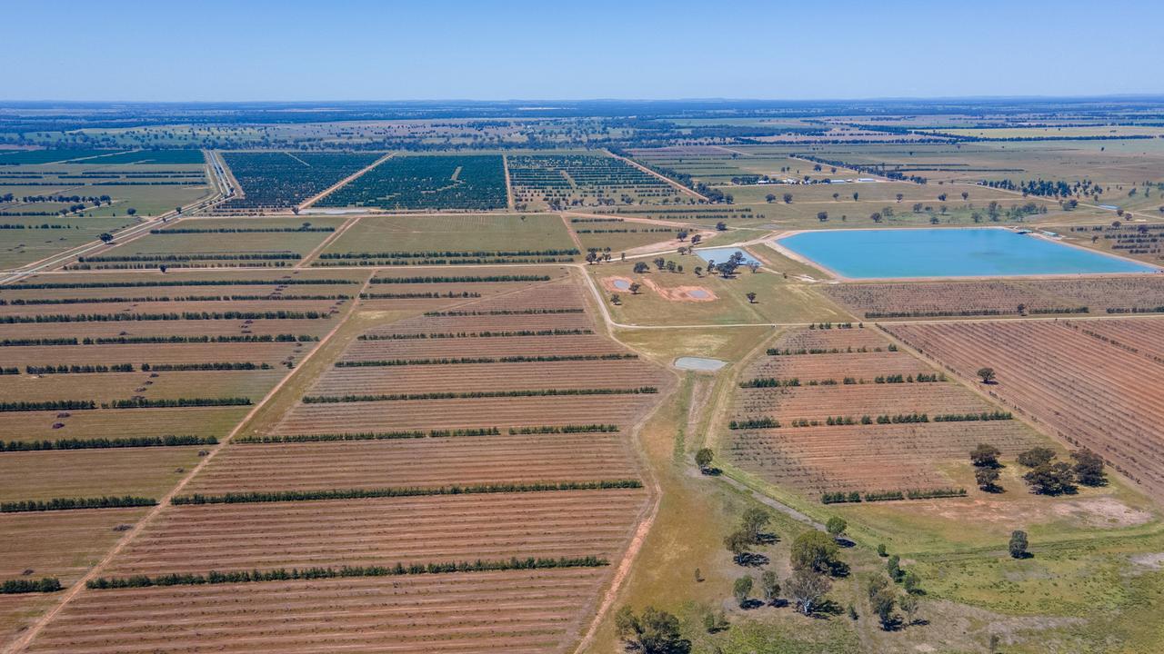 Massive Riverina farm sold to Aussie investors