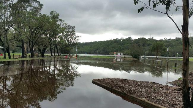 The flooded Georges River National Park, Picnic Point, on Monday. Picture: Lawrence Machado