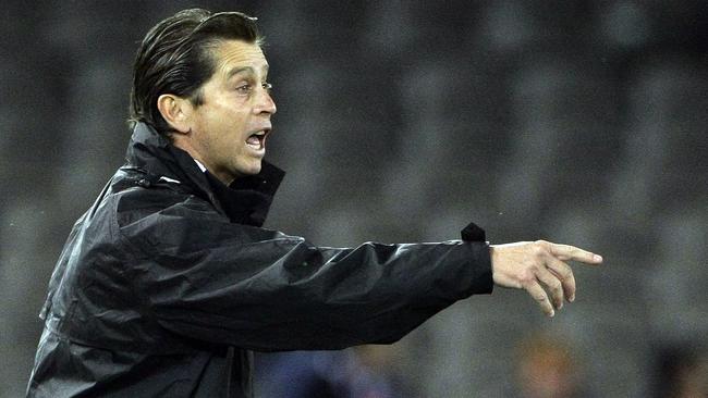 Former Socceroos coach Frank Farina has plenty of knowledge to impart.