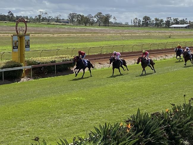 Atherton turf club: Sharlee trainer. Picture: jordan gerrans.