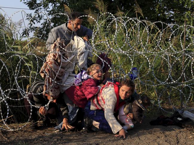 Syrian migrants cross under a fence as they enter Hungary at the border with Serbia.