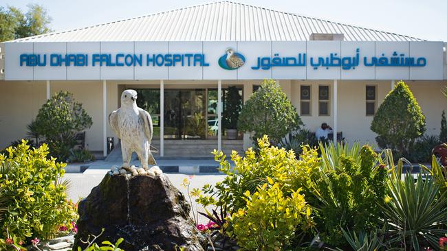 The falcon is a revered animal in the UAE. Take a two-hour tour amid the floral grounds of the ABU DHABI FALCON HOSPITAL — a 30-minute drive from downtown — where you may even get to hold one. From $60.