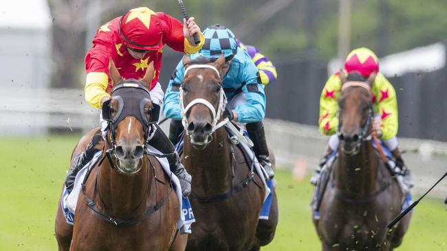 Prime Star is among a strong list of entries for the Bondi Stakes. Picture: Getty Images