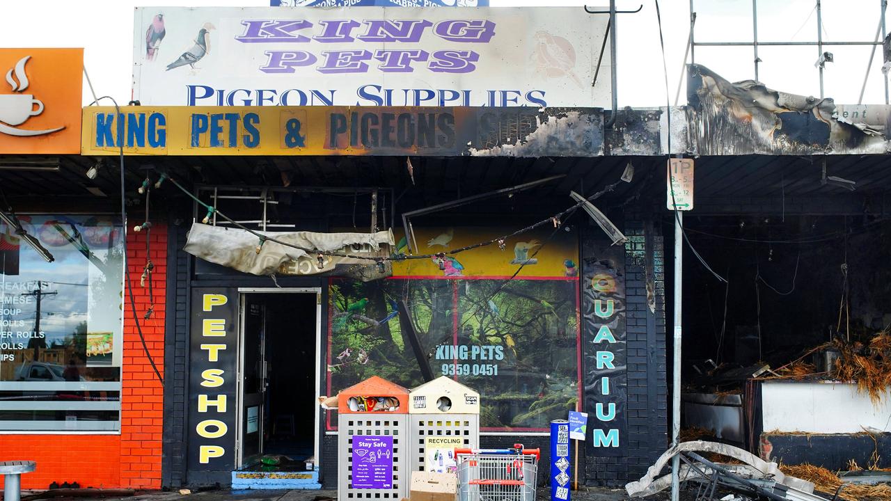 Pets killed in shock store firebombing