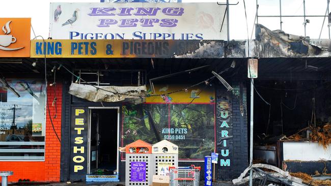 MELBOURNE AUSTRALIA - NewsWire Photos MAY 7, 2025: Animals are believed to be dead after firebombing, resulting in the neighbourning pet store catching fire.Picture: NewsWire / Luis Enrique Ascui