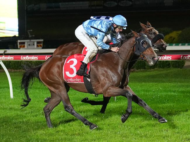 Let'sbefrankbaby ridden by Jamie Mott wins the R&C Asphalt & Paving F&M BM70 Hcp at Cranbourne Racecourse on April 28, 2023 in Cranbourne, Australia. (Photo by Scott Barbour/Racing Photos via Getty Images)