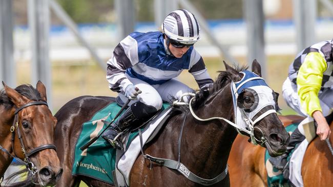 Tippa, ridden by Rochelle Milnes, wins at Morphettville last-start. Picture: Makoto Kaneko