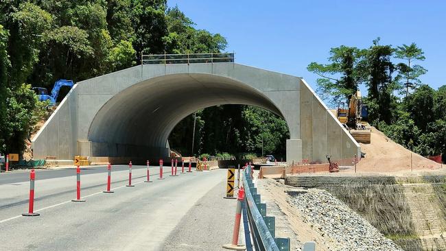 A cassowary crossing over the Bruce Highway near Feluga has been dubbed a $30m white elephant after new pics reveal a near vertical cliff that makes access by the flightless birds challenging. Picture: Christopher Duffy