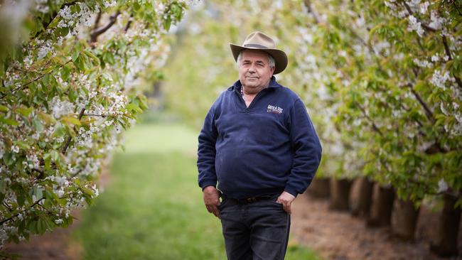 NSW farmer Guy Gaeta says he is fed-up with pricing at the major supermarkets. Picture: Graham Schumann