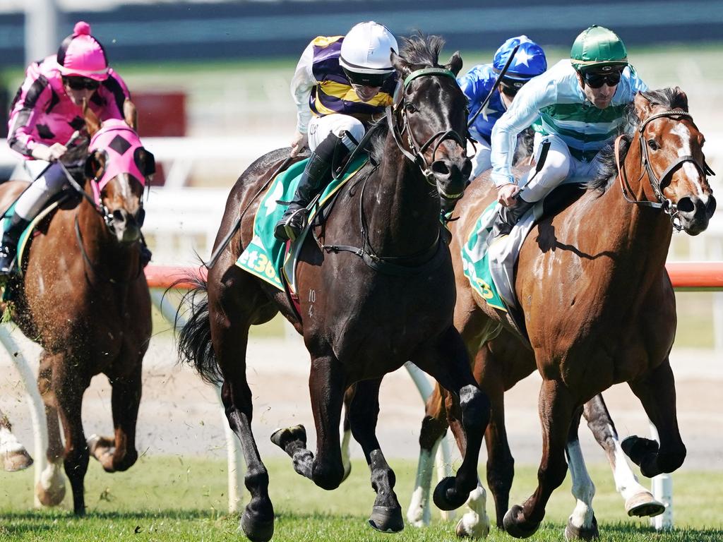 Horse racing tips: Best bets Geelong and Stony Creek races | Herald Sun
