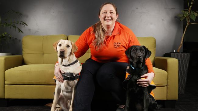 Kim Ryan manager Guide Dogs Tasmania with Digby and Dora. Digby and Dora are the first Tasmanian born guide dog puppies and have been in training for a while now the are 18 months old. Picture: Nikki Davis-Jones