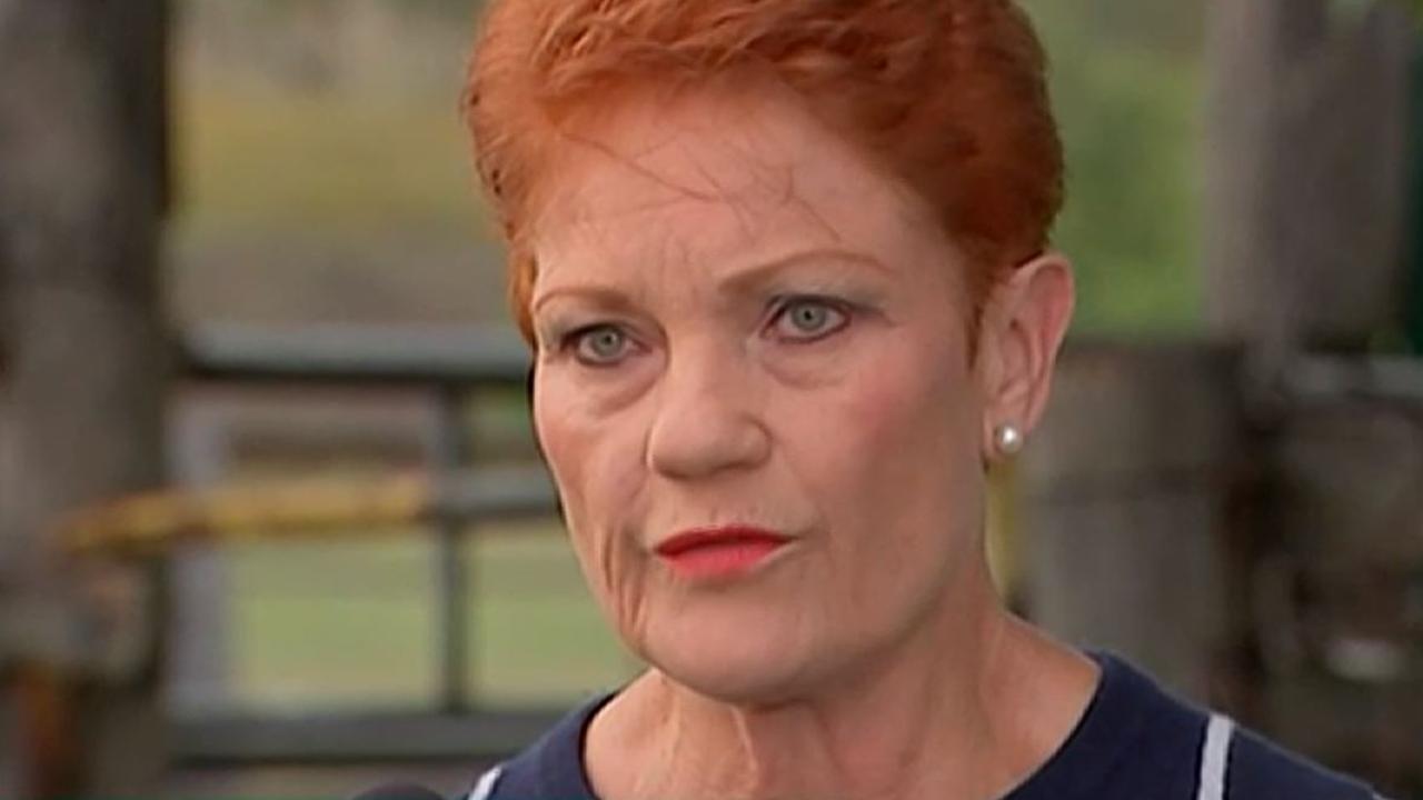 One Nation leader Pauline Hanson has accepted Steve Dickson's resignation. Picture: ABC