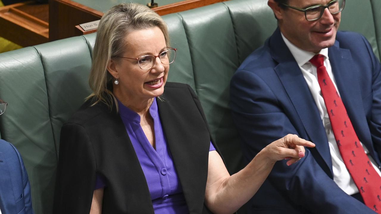 Deputy Leader of the Opposition Sussan Ley has hit out at the government’s industrial policy. Picture: NCA NewsWire / Martin Ollman