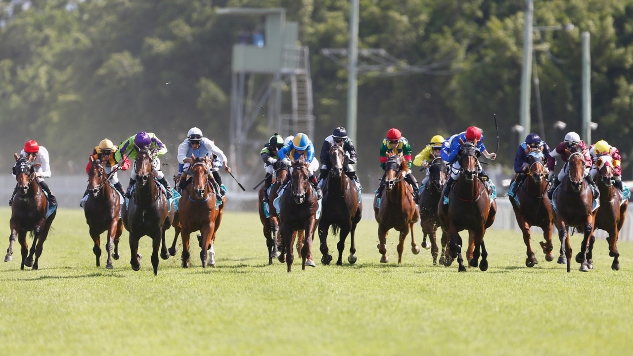 More than $10 million won at Magic Millions