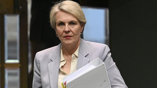 CANBERRA, Australia, NewsWire Photos. May 15, 2024: Tanya Plibersek arrives for Question Time at Parliament House in Canberra. Picture: NCA NewsWire / Martin Ollman