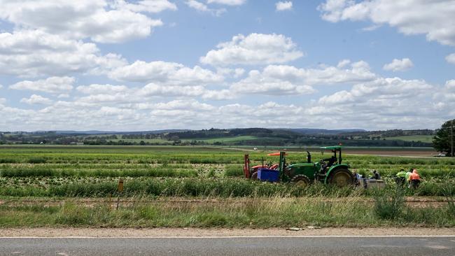 Gippsland Critical Minerals, formerly Kalbar Operations Pty Ltd, is rescoping a project proposal at Glenaladale. Picture: Rachel Simmonds