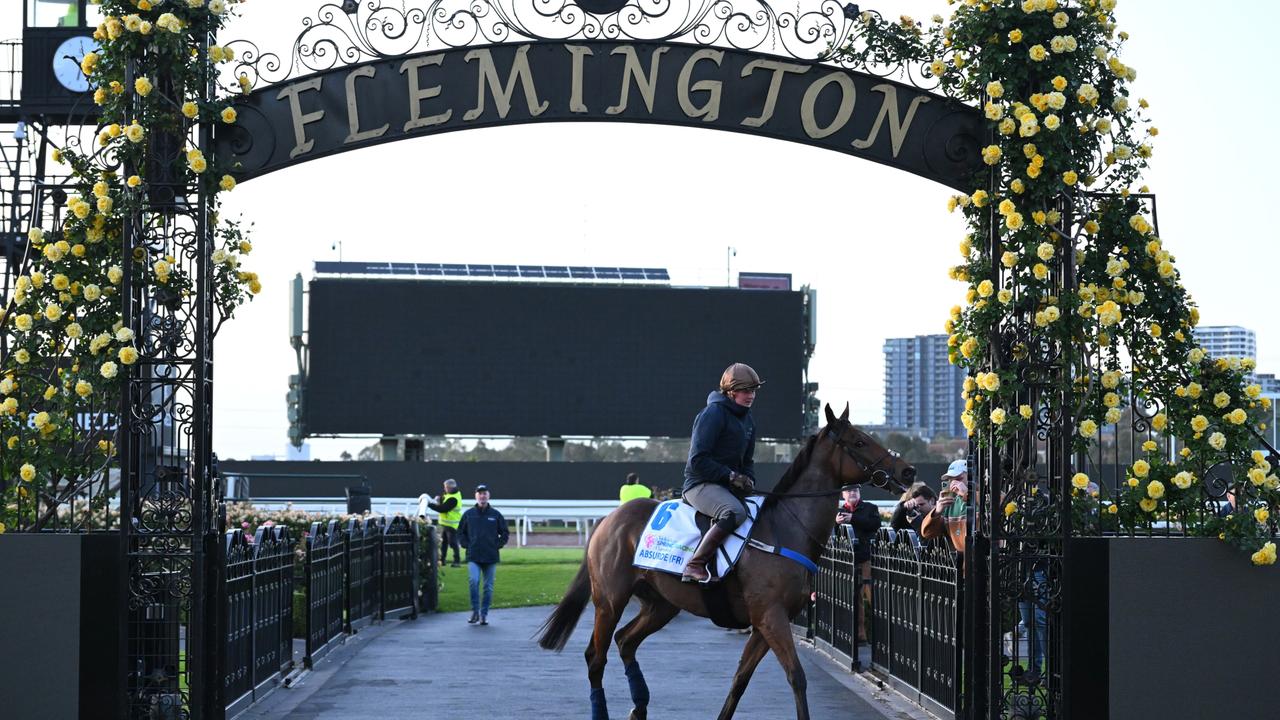 23 of 24 horses passed fit to start in the Melbourne Cup The Advertiser