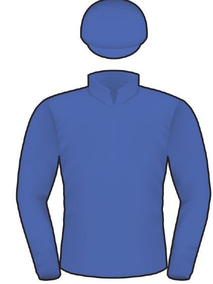 Avilius Melbourne Cup jockey silks.