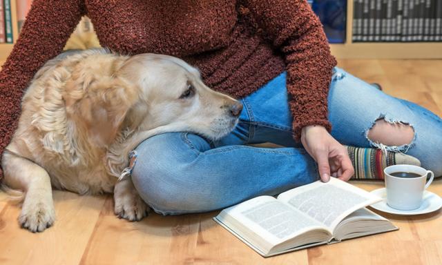 Woman is sitting down on the floor with Golden retriever dog. Open book and white cup of coffee are lying in front of them. The letters in the book are intentionally blurred.