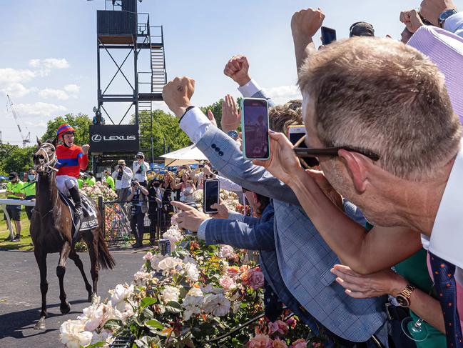 Big ploy to get you to Melbourne Cup Carnival