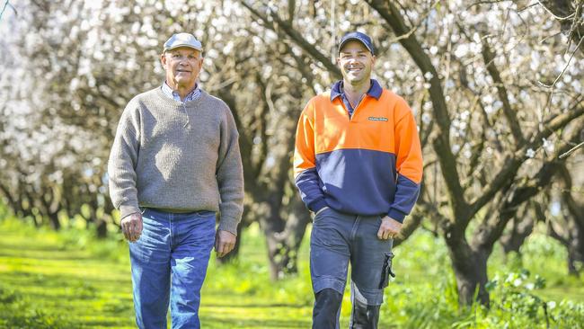 Ian and David Keens of Manna Farms are selling a 411ha portfolio of three properties, with orchards planted to 238ha near Colignan. Picture: File.
