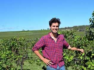 NEW TECH: Clovely Estate Cellar Door's manager Tom Albert. Picture: Madeline Grace