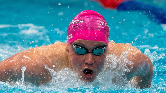 Teenager Luke Higgs from Warringah Aquatic SC is another to watch.