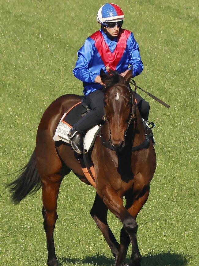 Hugh Bowman on Lost And Running after winning heat 2 during the barrier trials at Royal Randwick Racecourse in August. Picture: Mark Evans/Getty Images