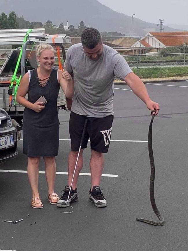 Chris Daly removing an unwanted snake from underneath Maddi Stoye’s car. SUPPLIED.